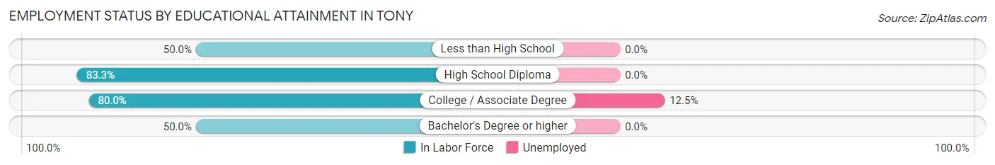 Employment Status by Educational Attainment in Tony