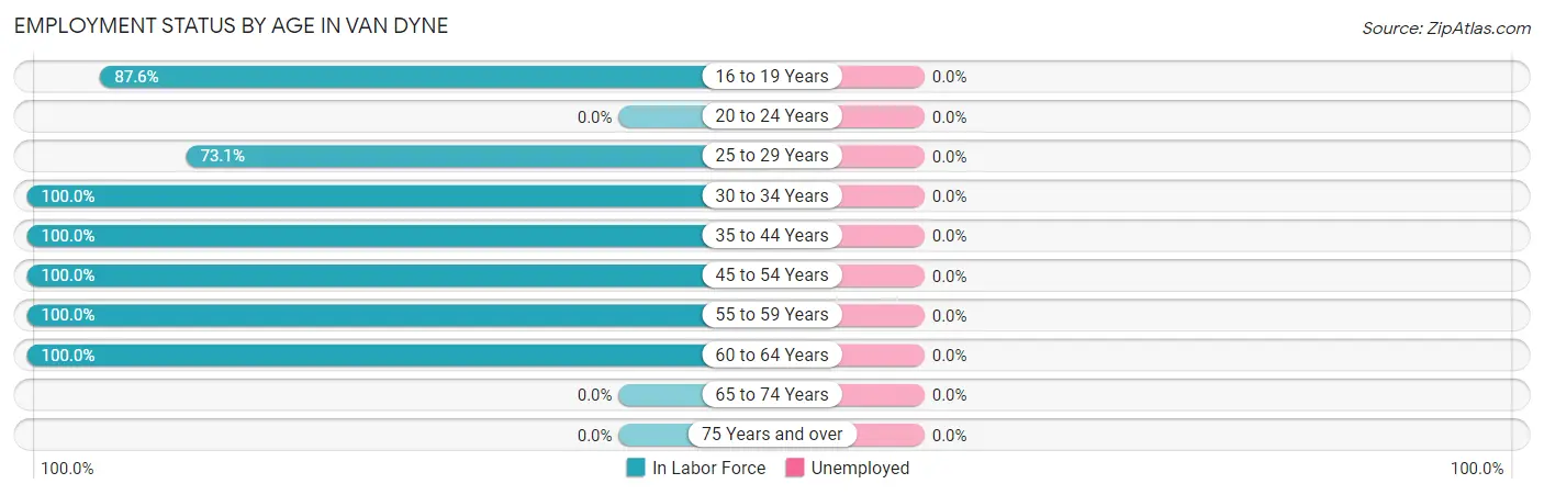 Employment Status by Age in Van Dyne
