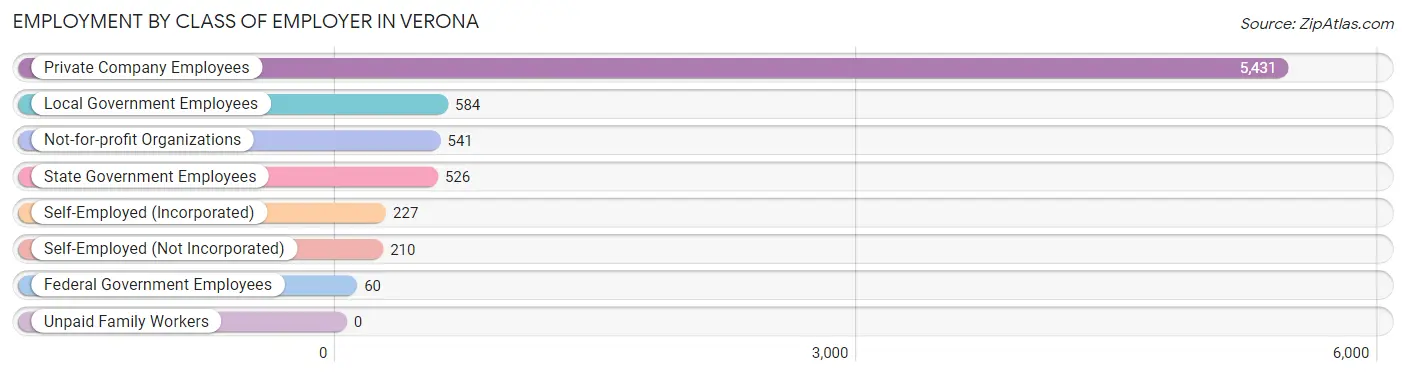 Employment by Class of Employer in Verona