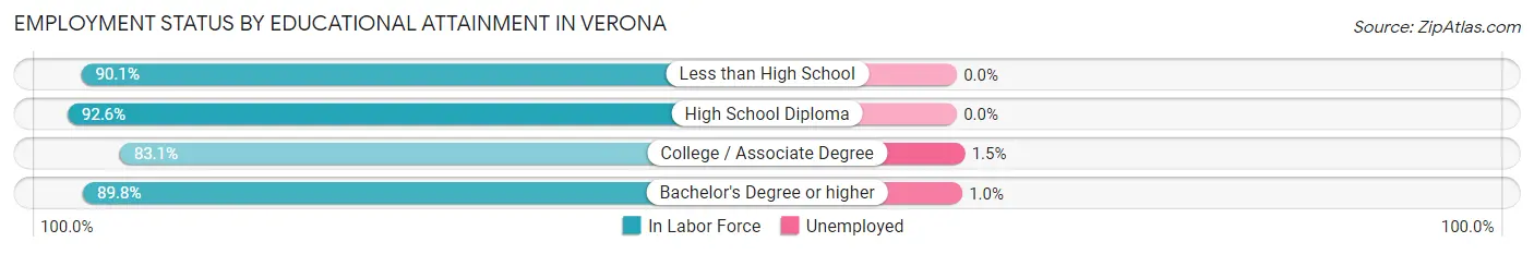 Employment Status by Educational Attainment in Verona