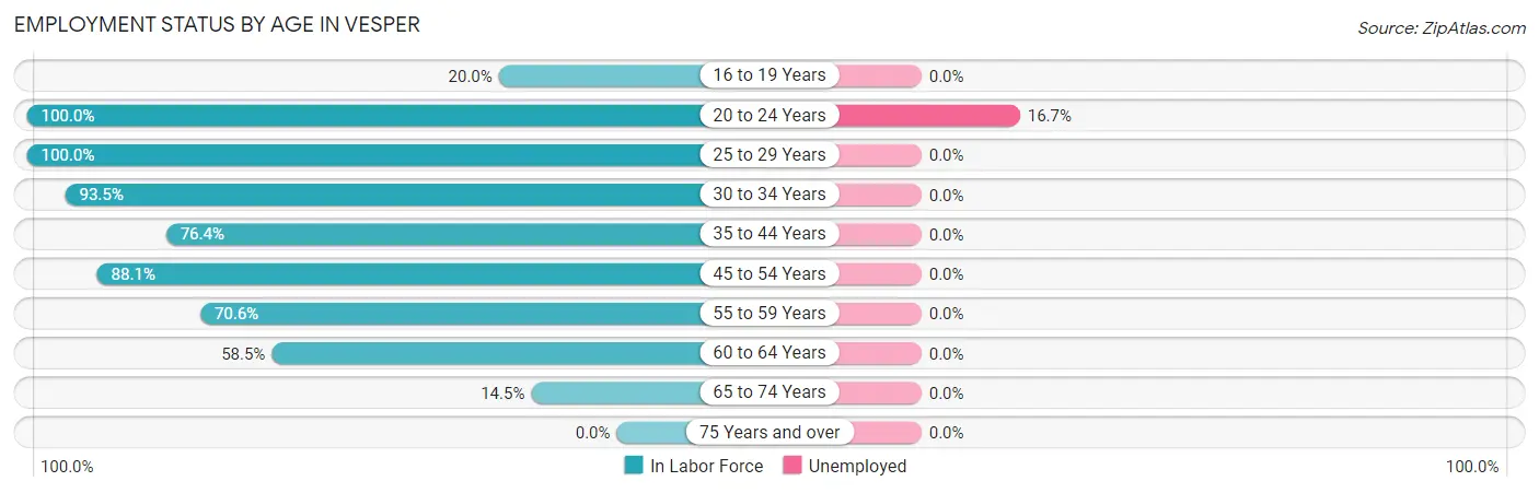 Employment Status by Age in Vesper