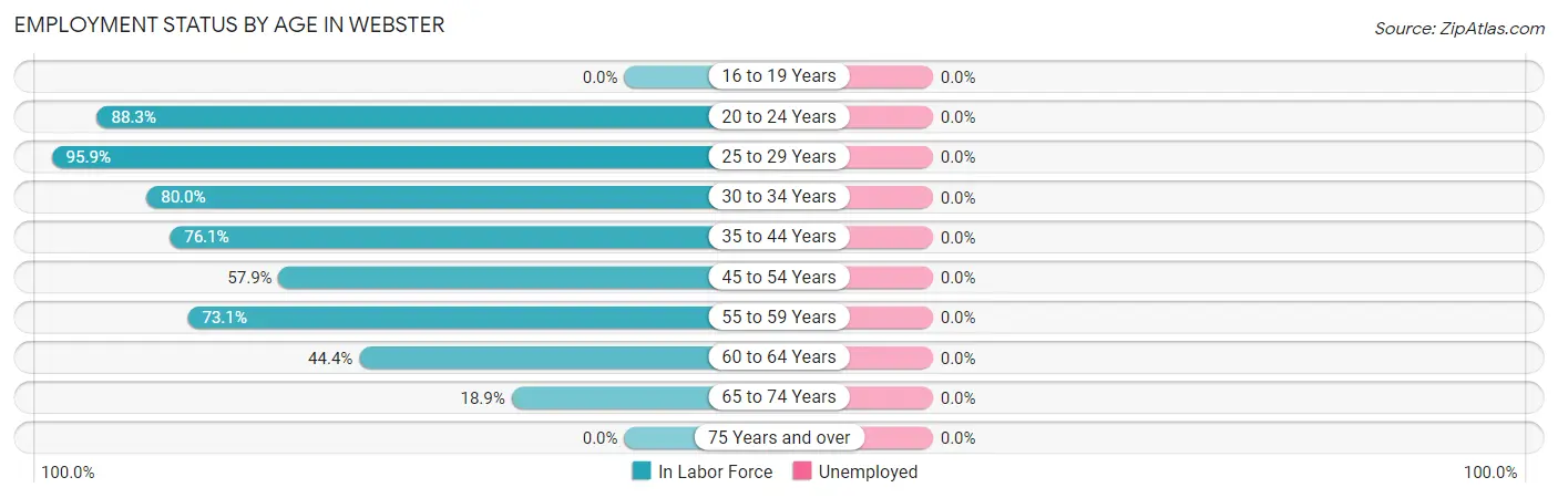 Employment Status by Age in Webster