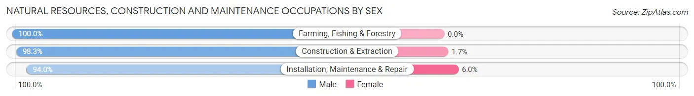 Natural Resources, Construction and Maintenance Occupations by Sex in West Bend