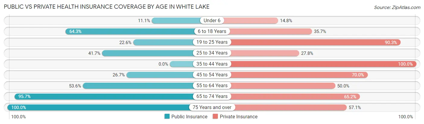 Public vs Private Health Insurance Coverage by Age in White Lake