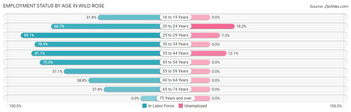 Employment Status by Age in Wild Rose