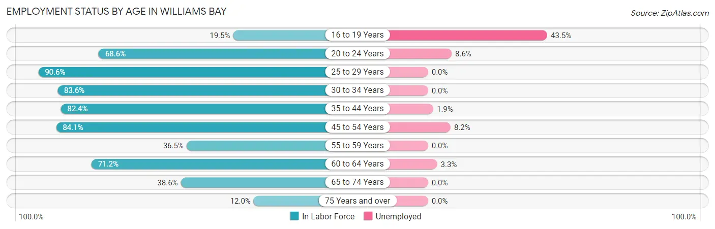 Employment Status by Age in Williams Bay
