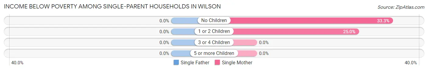 Income Below Poverty Among Single-Parent Households in Wilson