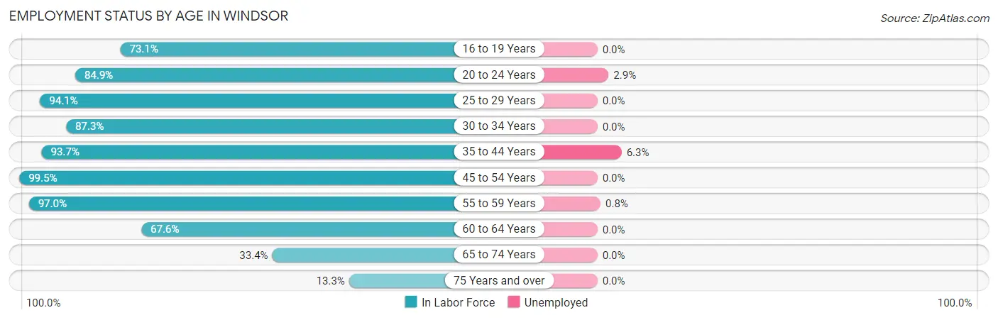 Employment Status by Age in Windsor
