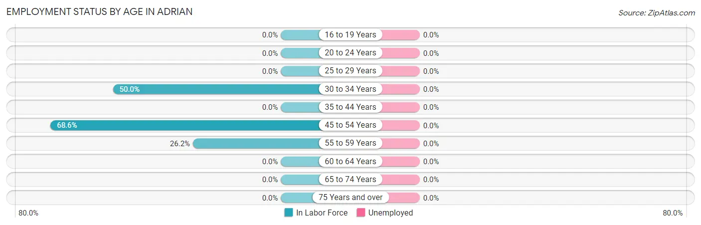 Employment Status by Age in Adrian