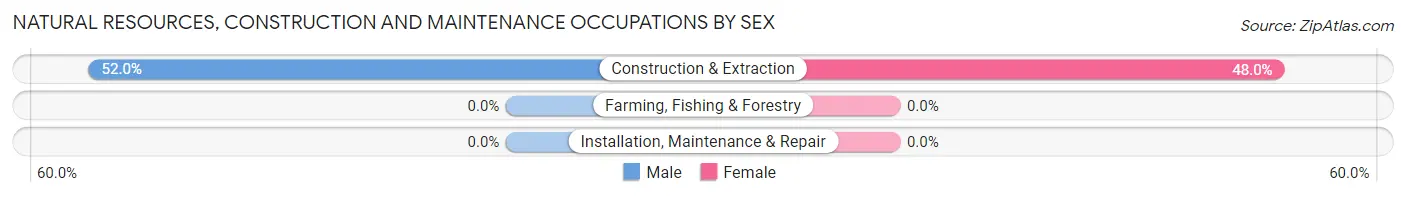 Natural Resources, Construction and Maintenance Occupations by Sex in Alum Creek