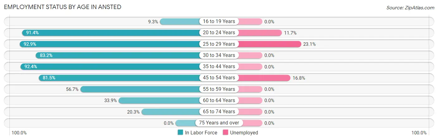 Employment Status by Age in Ansted