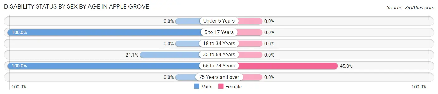 Disability Status by Sex by Age in Apple Grove