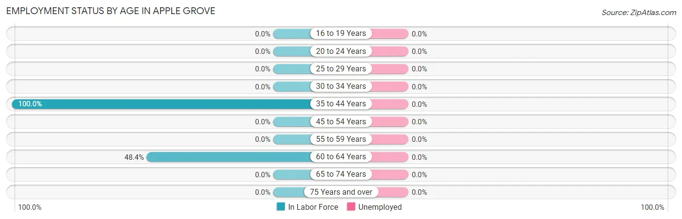 Employment Status by Age in Apple Grove