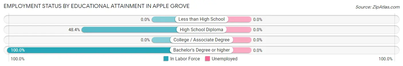 Employment Status by Educational Attainment in Apple Grove