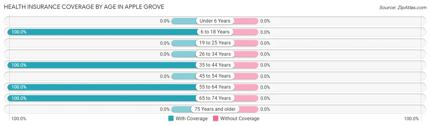 Health Insurance Coverage by Age in Apple Grove