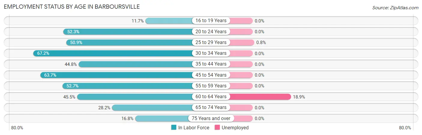Employment Status by Age in Barboursville
