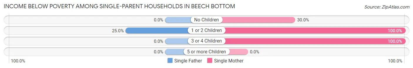 Income Below Poverty Among Single-Parent Households in Beech Bottom
