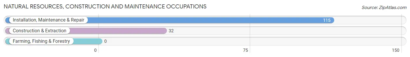 Natural Resources, Construction and Maintenance Occupations in Belington