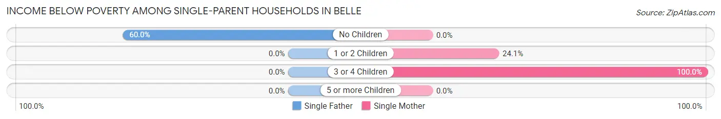 Income Below Poverty Among Single-Parent Households in Belle