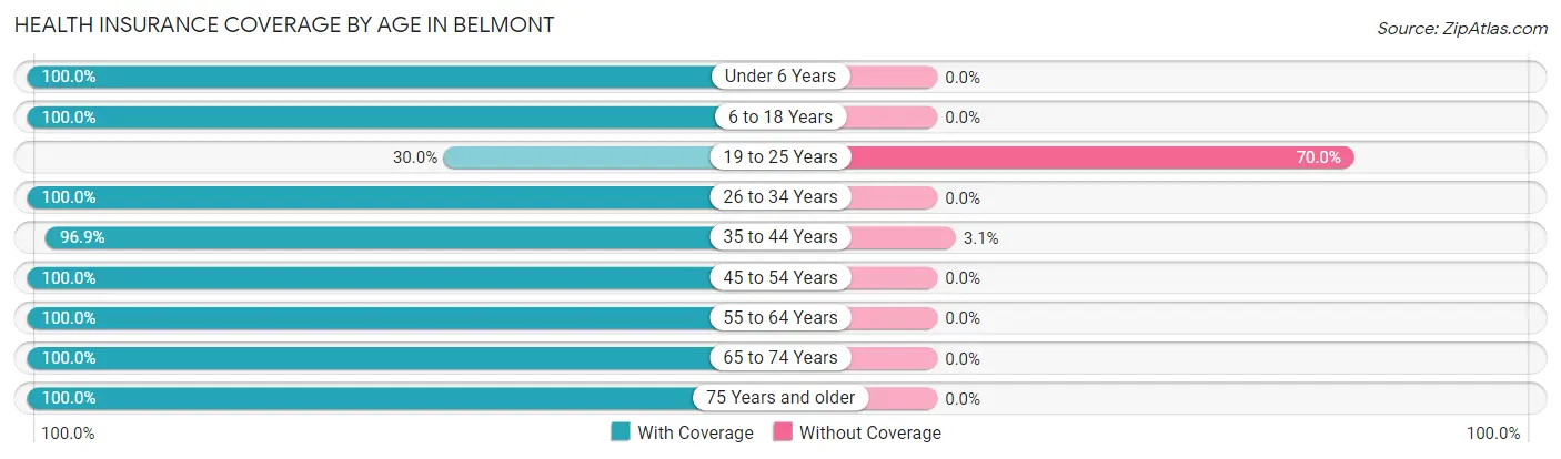 Health Insurance Coverage by Age in Belmont