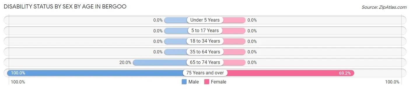 Disability Status by Sex by Age in Bergoo