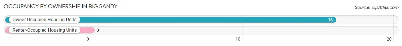 Occupancy by Ownership in Big Sandy