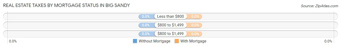 Real Estate Taxes by Mortgage Status in Big Sandy