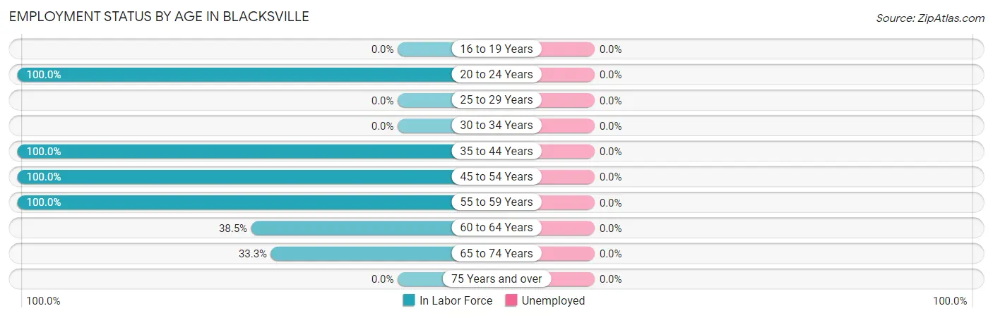 Employment Status by Age in Blacksville