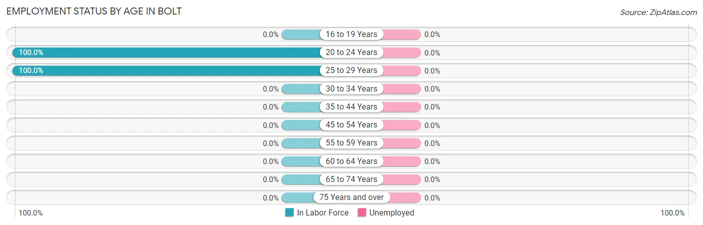 Employment Status by Age in Bolt