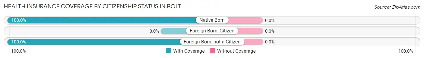 Health Insurance Coverage by Citizenship Status in Bolt