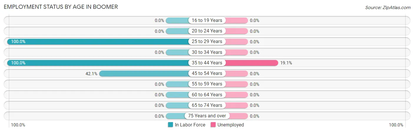 Employment Status by Age in Boomer
