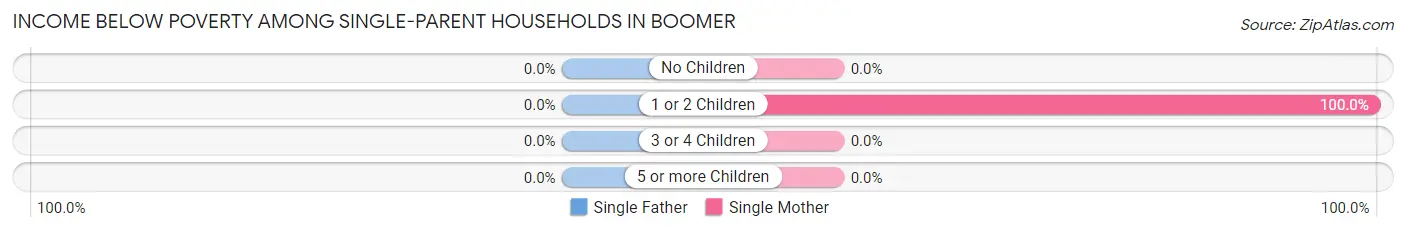 Income Below Poverty Among Single-Parent Households in Boomer