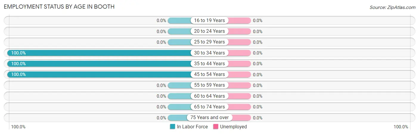Employment Status by Age in Booth