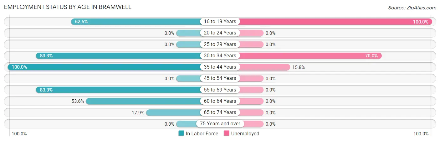 Employment Status by Age in Bramwell