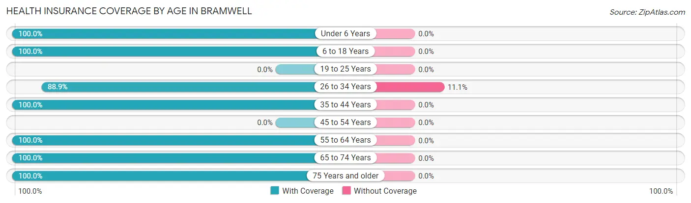 Health Insurance Coverage by Age in Bramwell