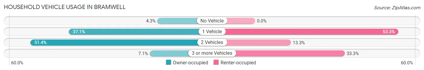 Household Vehicle Usage in Bramwell