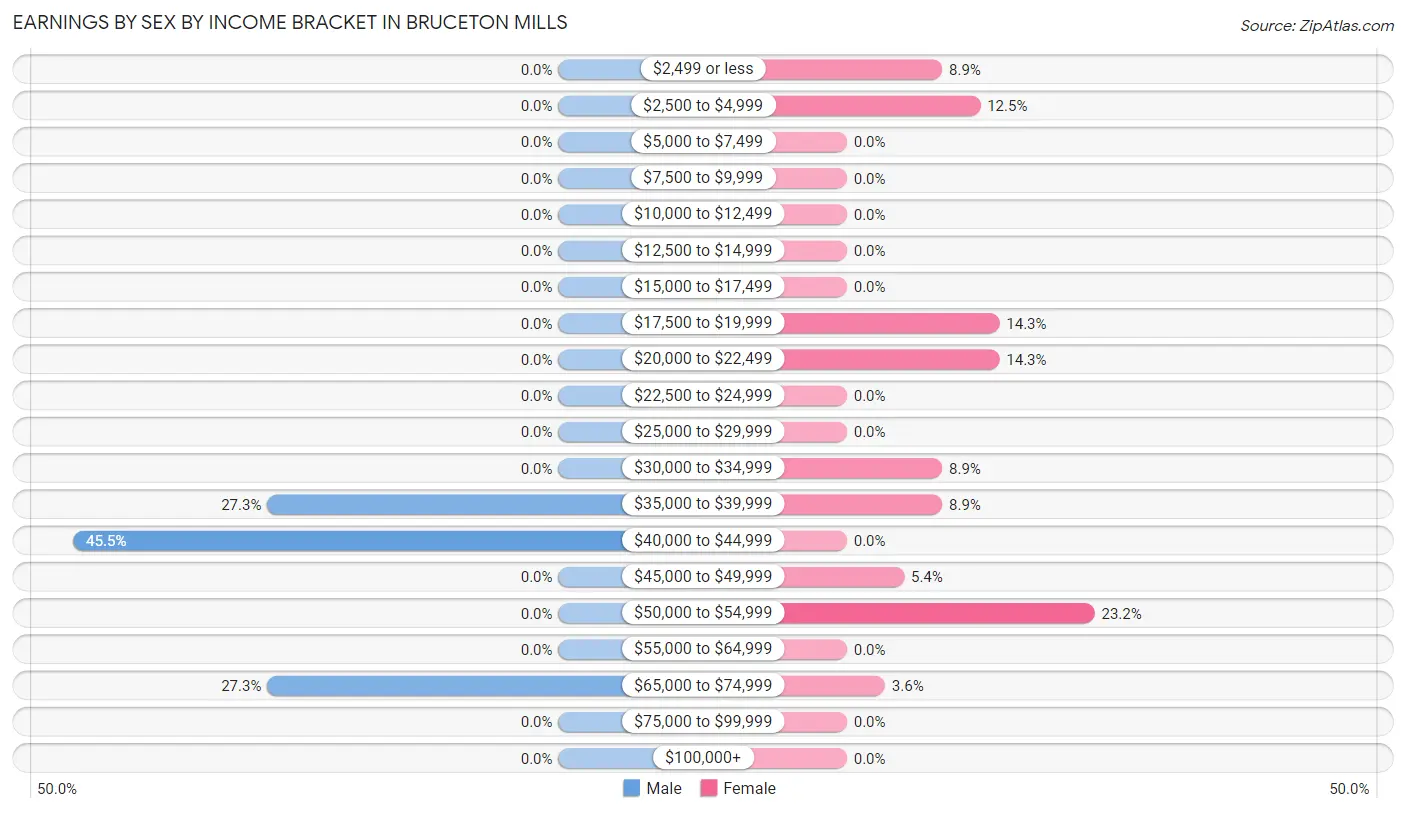 Earnings by Sex by Income Bracket in Bruceton Mills