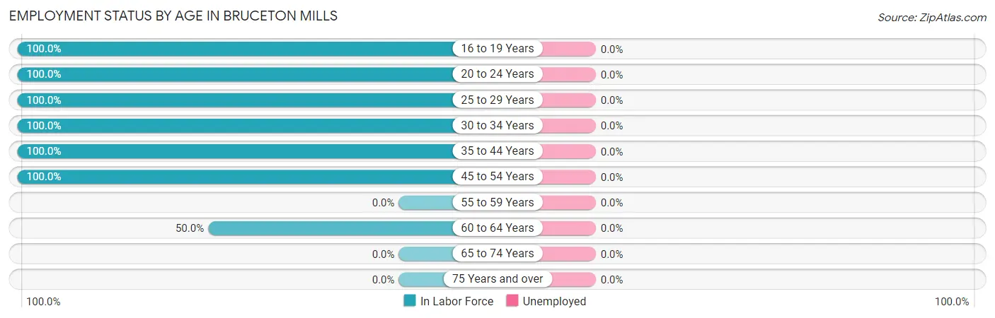 Employment Status by Age in Bruceton Mills