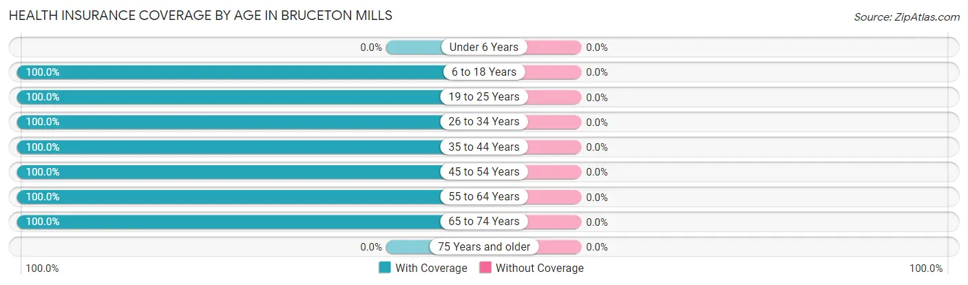 Health Insurance Coverage by Age in Bruceton Mills