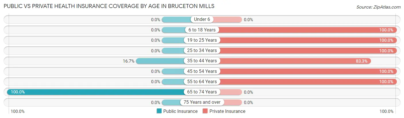 Public vs Private Health Insurance Coverage by Age in Bruceton Mills