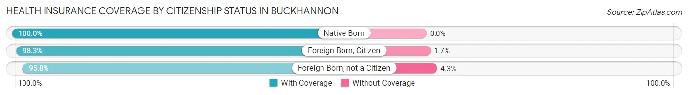 Health Insurance Coverage by Citizenship Status in Buckhannon