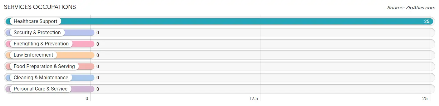 Services Occupations in Bud