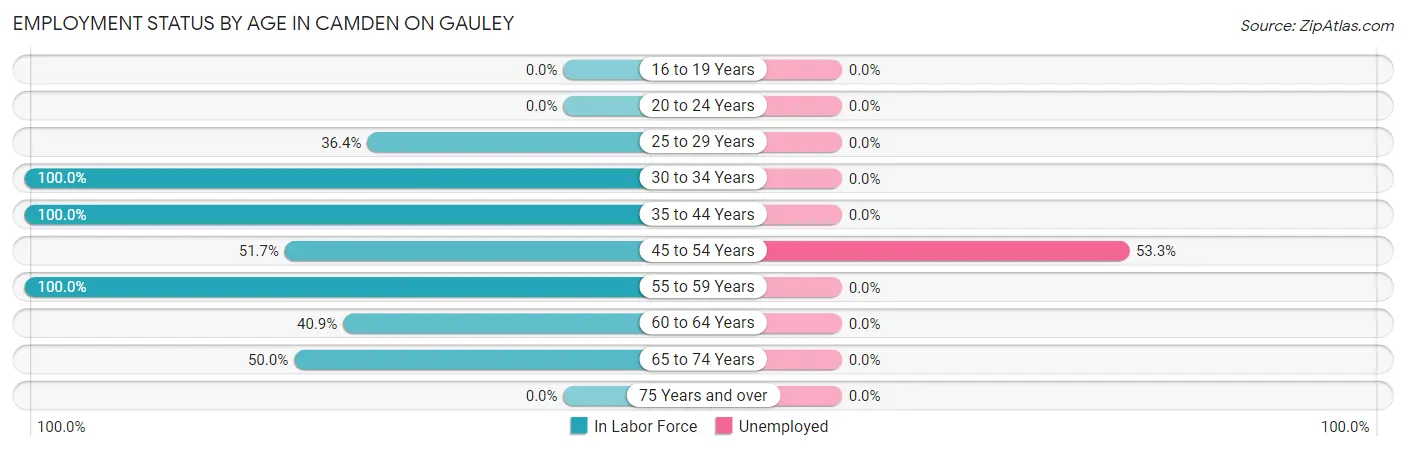 Employment Status by Age in Camden On Gauley