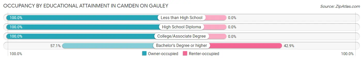 Occupancy by Educational Attainment in Camden On Gauley