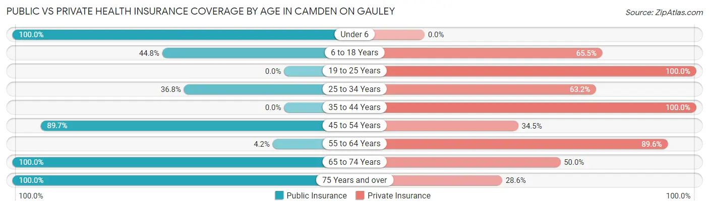 Public vs Private Health Insurance Coverage by Age in Camden On Gauley
