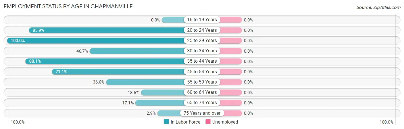Employment Status by Age in Chapmanville