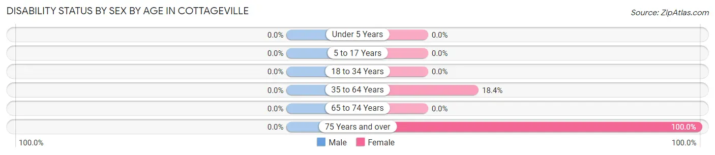 Disability Status by Sex by Age in Cottageville