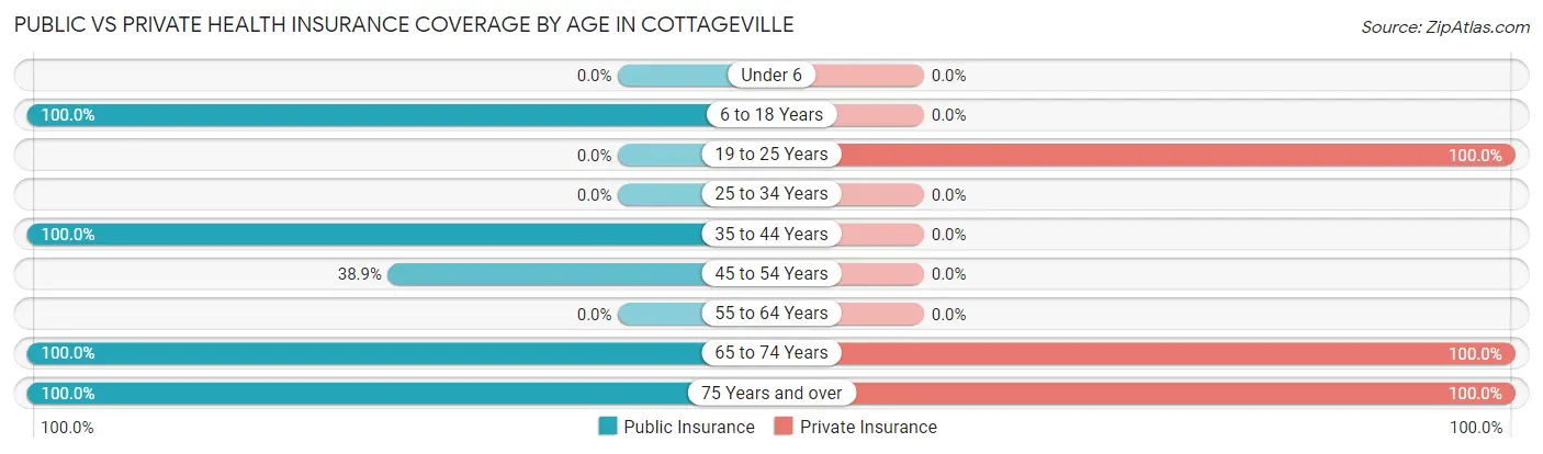 Public vs Private Health Insurance Coverage by Age in Cottageville