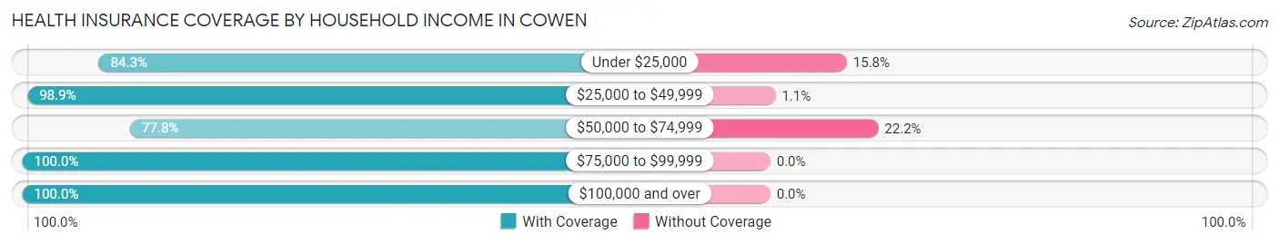 Health Insurance Coverage by Household Income in Cowen