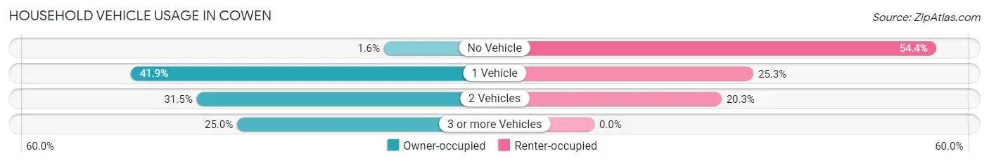 Household Vehicle Usage in Cowen